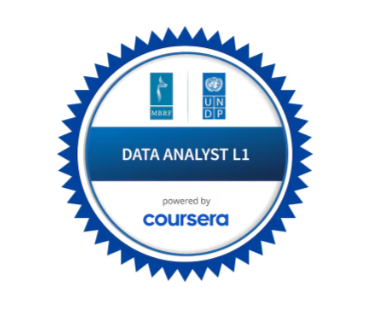 DATA ANALYST L1
